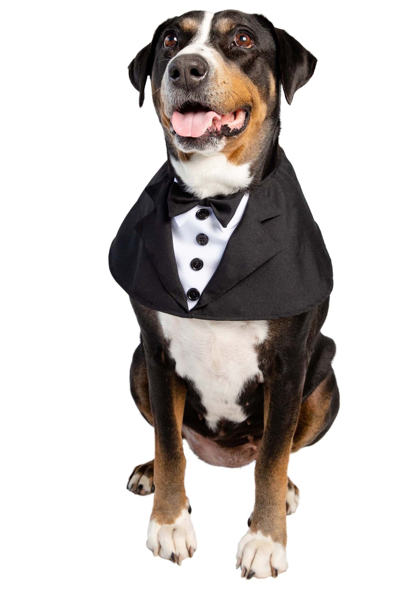 Dog Tuxedo Collar Costume