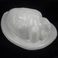 Heart Gel Mold