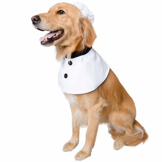 Chef Uniform Dog Costume