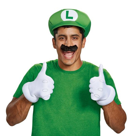 Luigi Accessory Kit