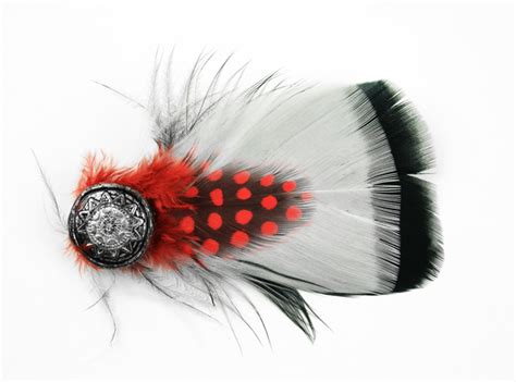 Black White Red Hat Feather