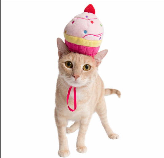 Cupcake Pet Hat