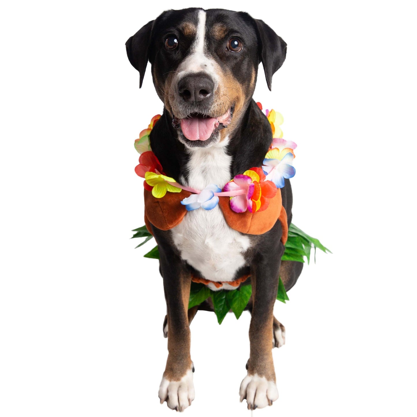 Hula Dog Pet Costume