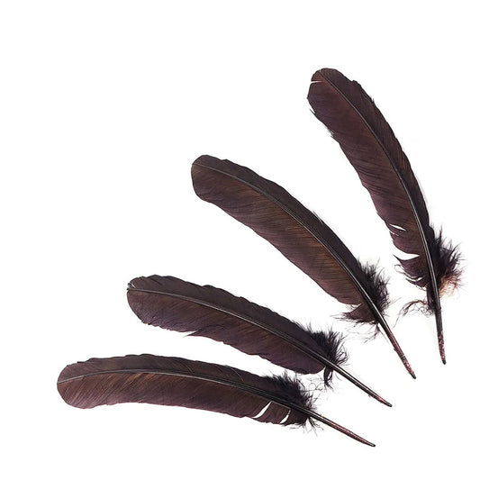 4 Pack Turkey Quills