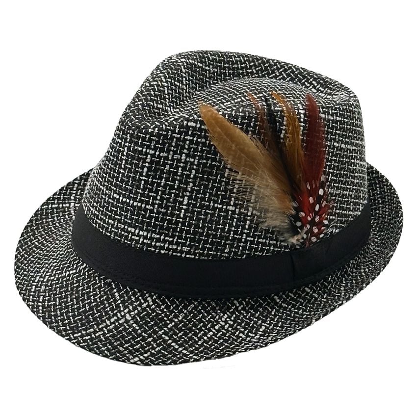 Fedora Hat with Feathers