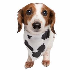 Cow Spots Pet Bandana