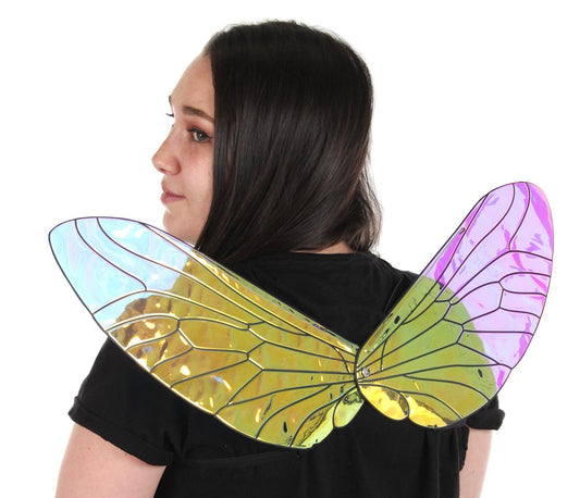 Holographic Bee Wings