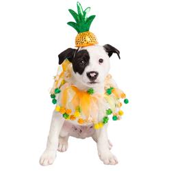 Pet Pineapple Hat and Collar