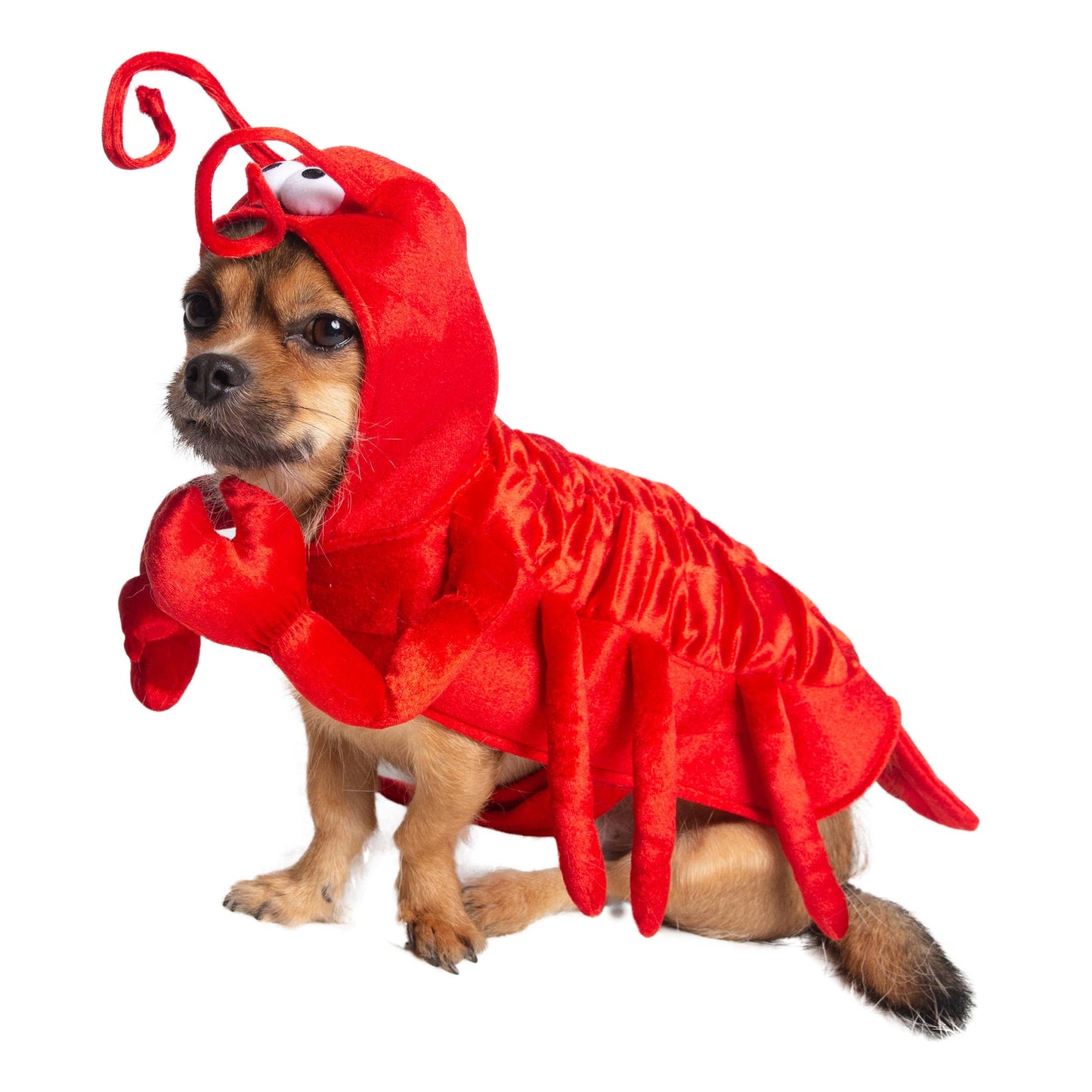 Lobster Pet Costume