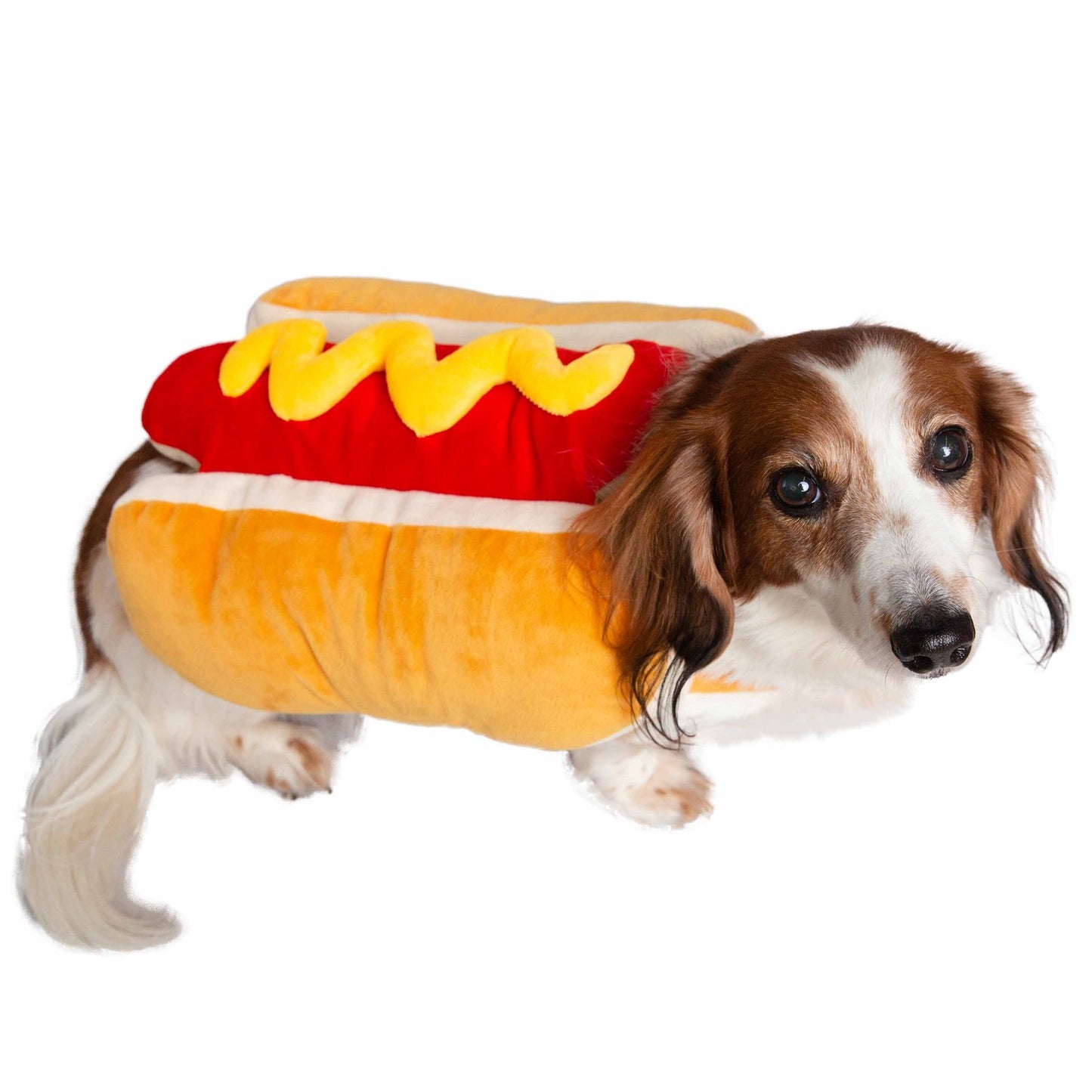 Pet Hot Dog Costume