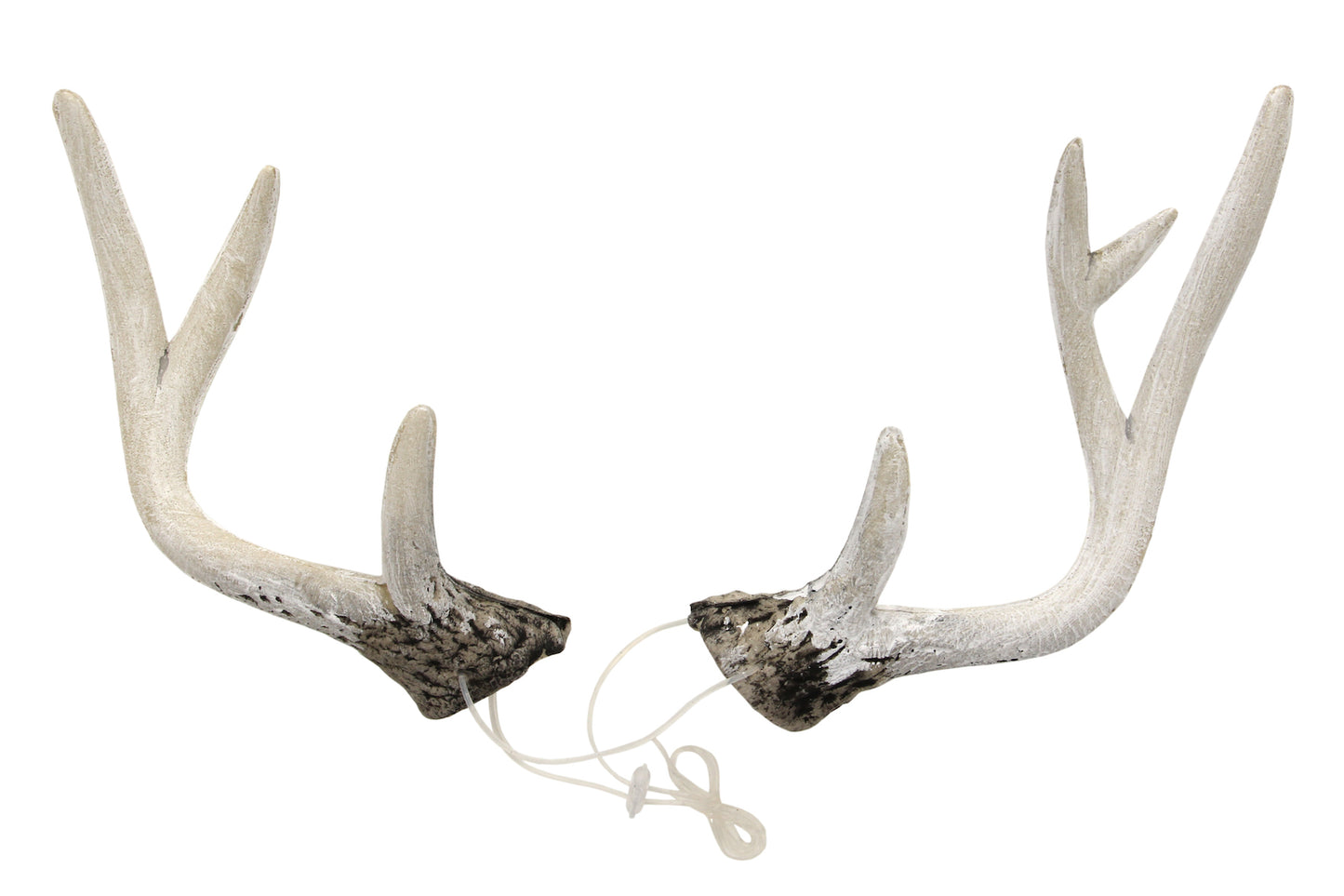 Deer Antlers