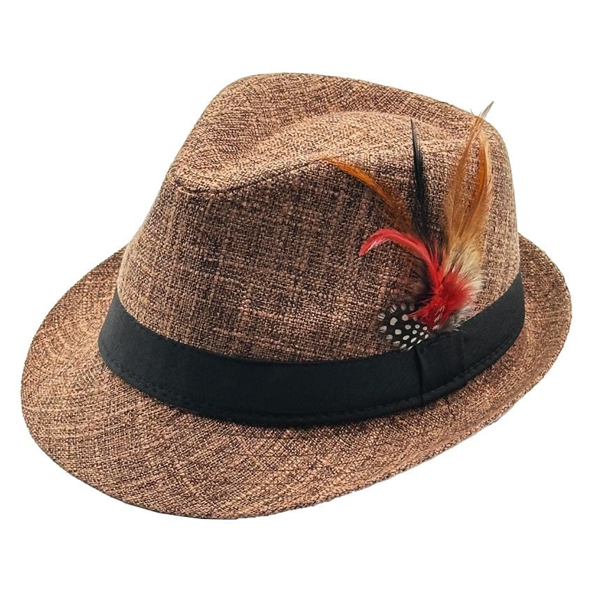 Fedora Hat with Feathers