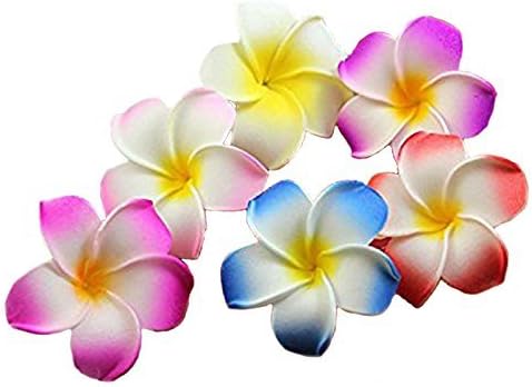 Hawaiian Hair Flower Clip