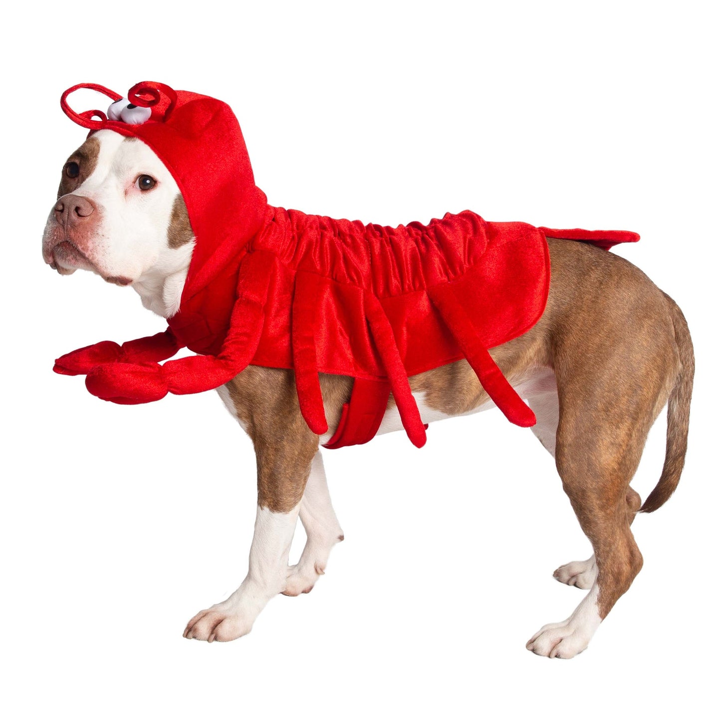 Lobster Pet Costume