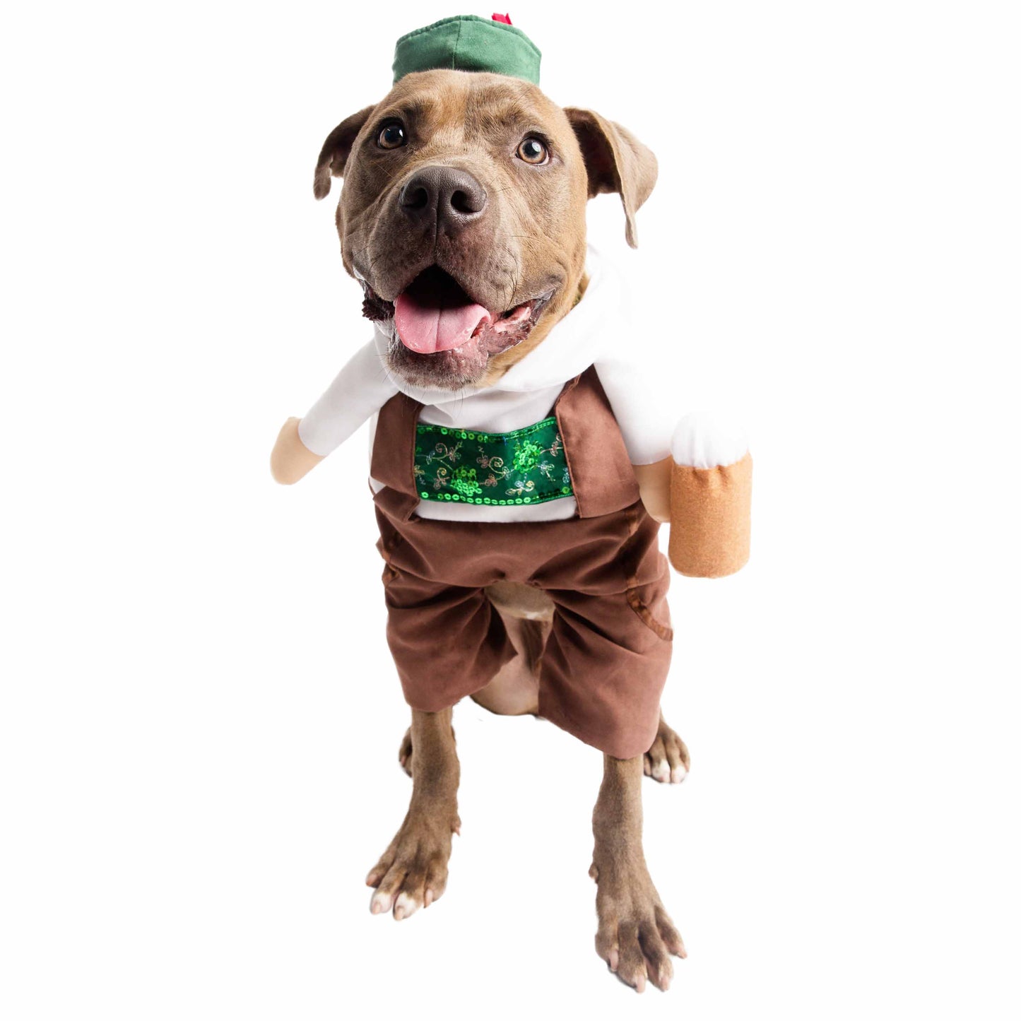 Pet German Oktoberfest Costume