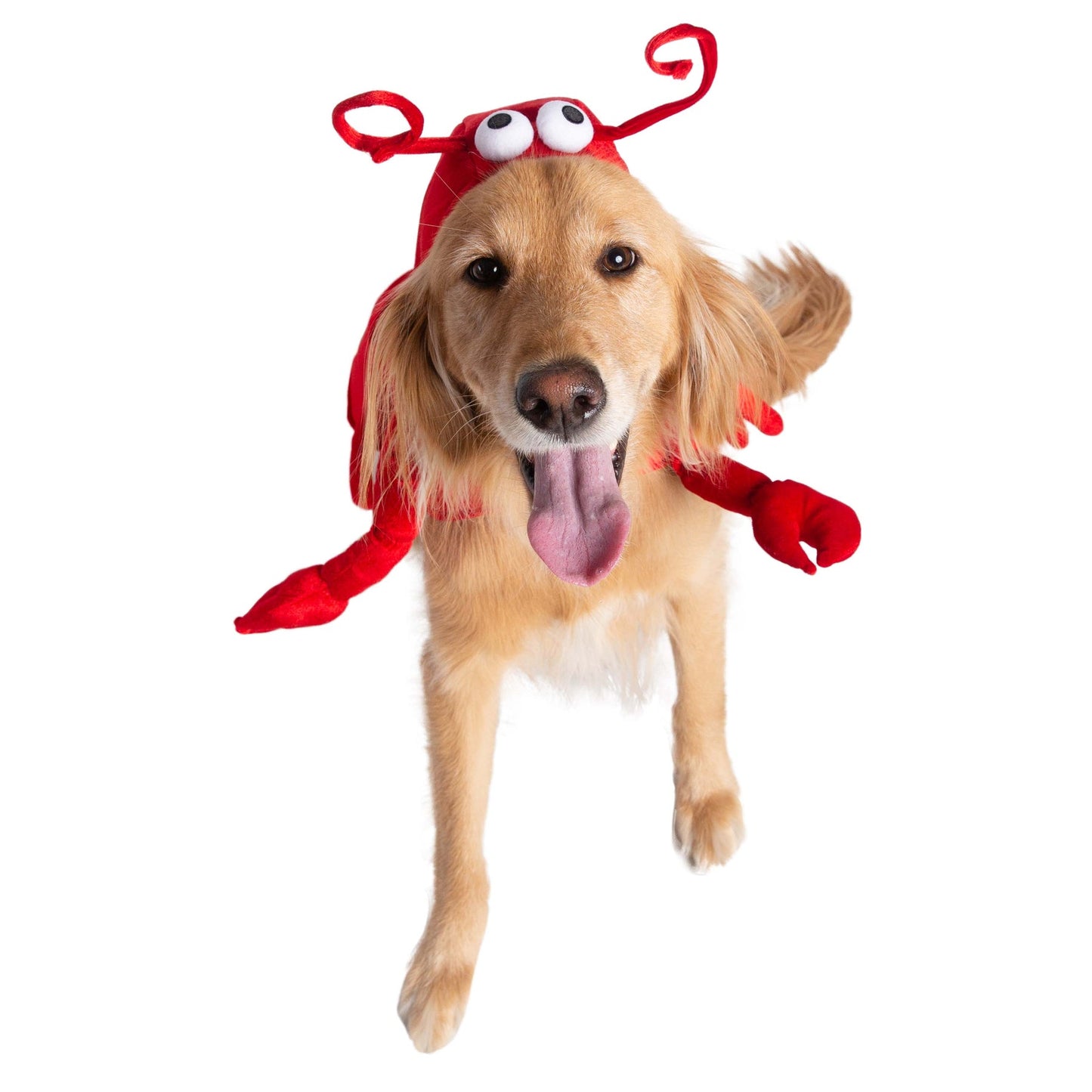 Lobster Pet Costume