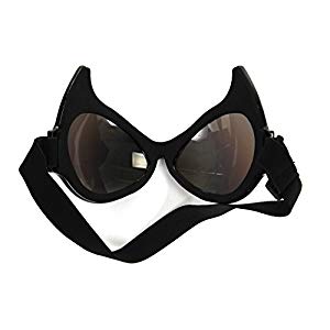 Cat Eye Goggles