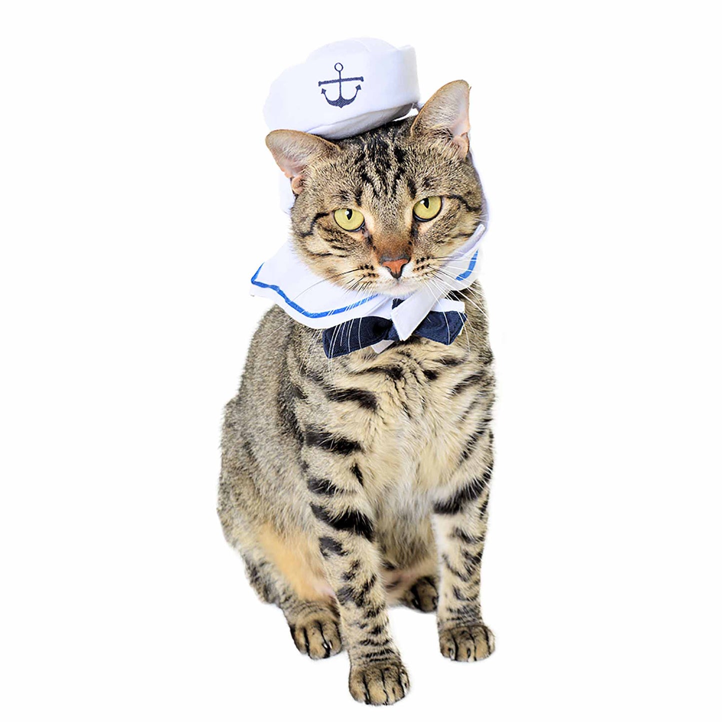 Sailor Dog Costume