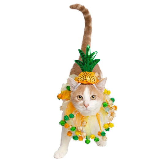 Pet Pineapple Hat and Collar