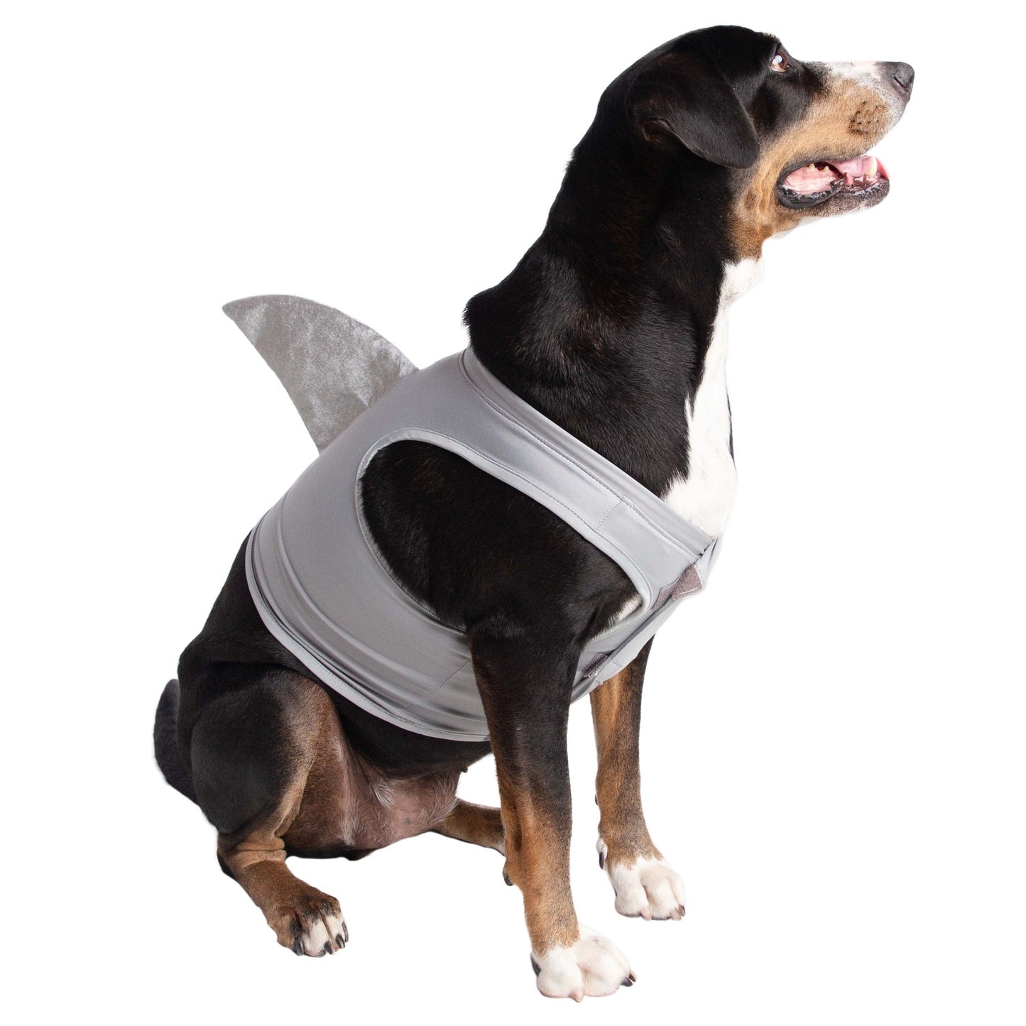 Shark Dog Costume