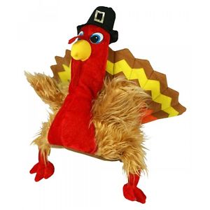 Turkey Time Hat