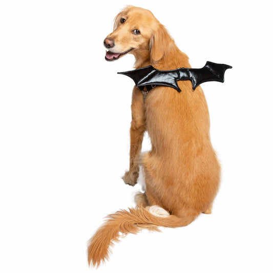 Bat Wing Pet Costume