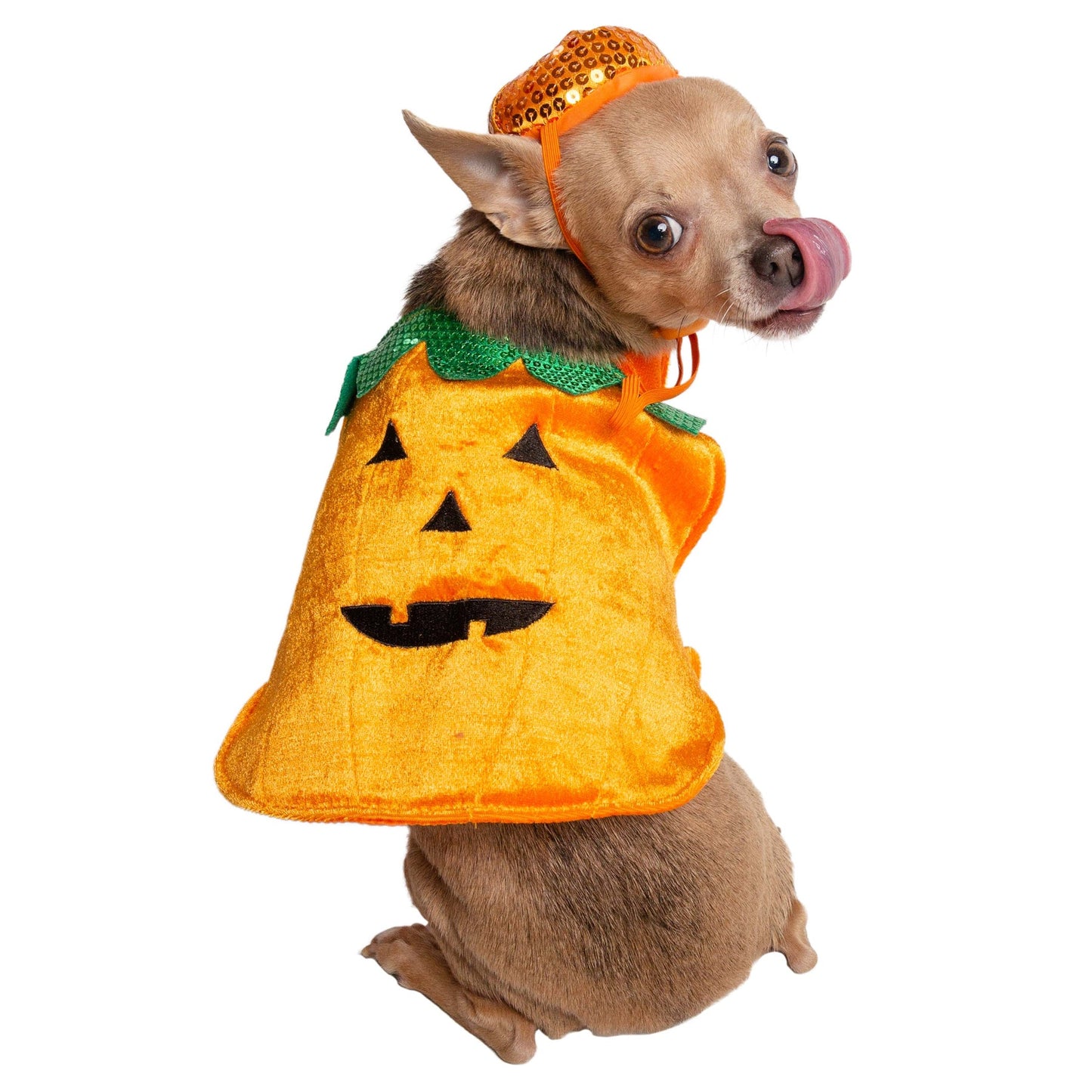 Pumpkin Pet Costume