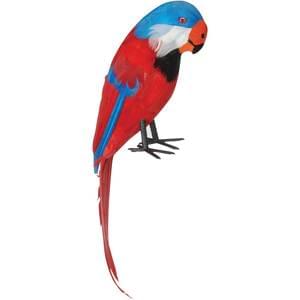 14" Parrot