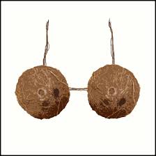 Coconut Bra Real