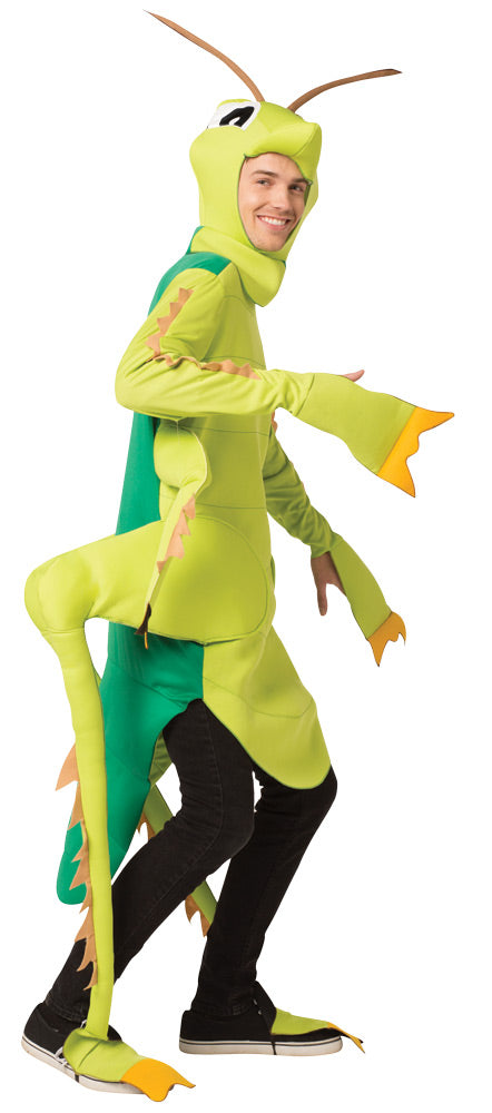 Grasshopper Costume