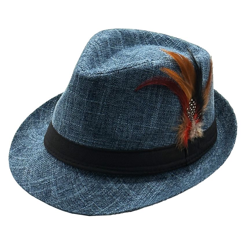 Fedora Hat with Feathers