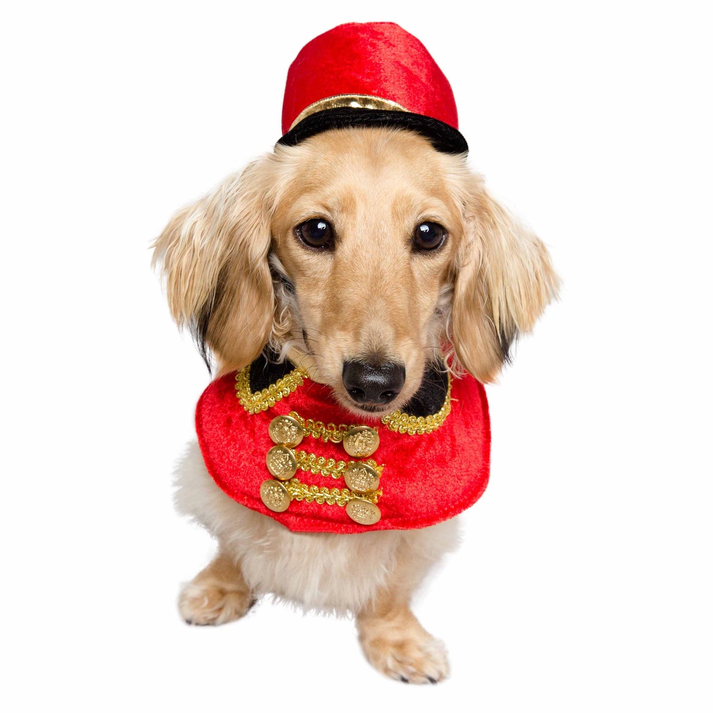 Nutcracker Soldier Dog Costume