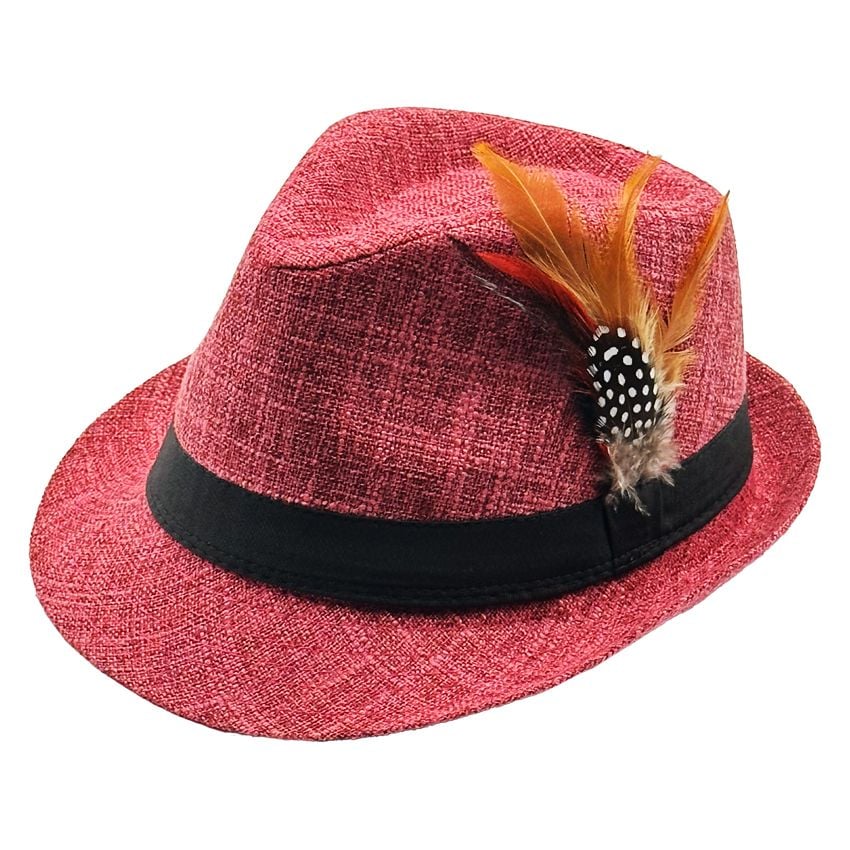 Fedora Hat with Feathers