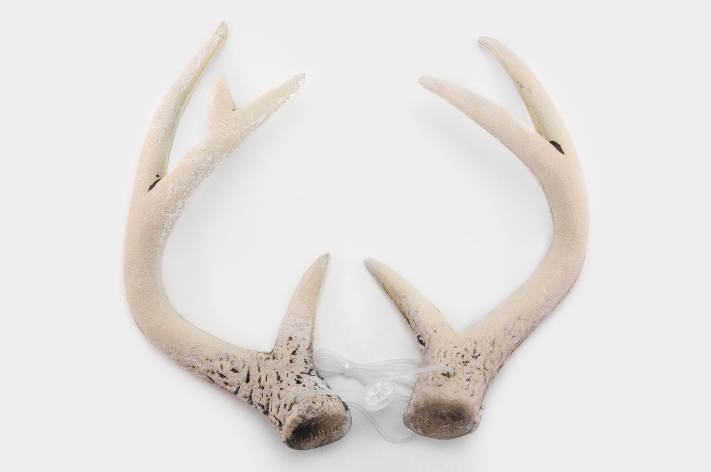 Deer Antlers