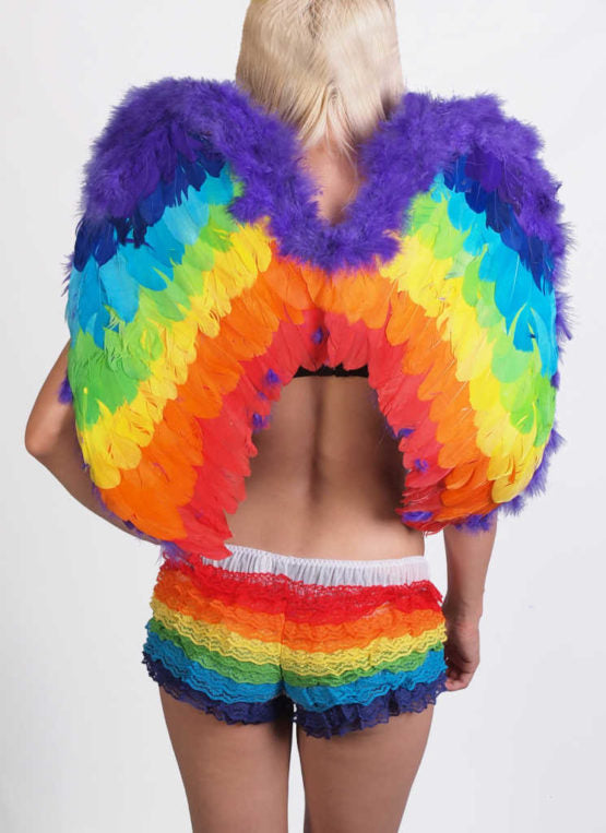 Fuzzy Rainbow Feather Wings