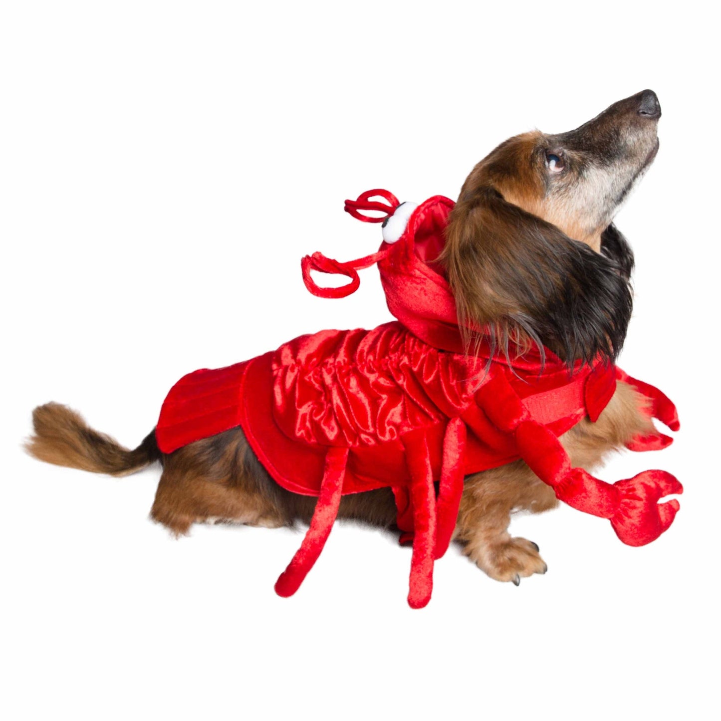 Lobster Pet Costume