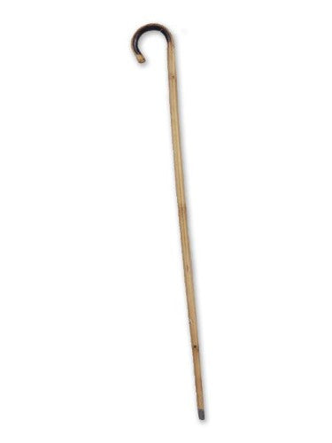 Bamboo Cane