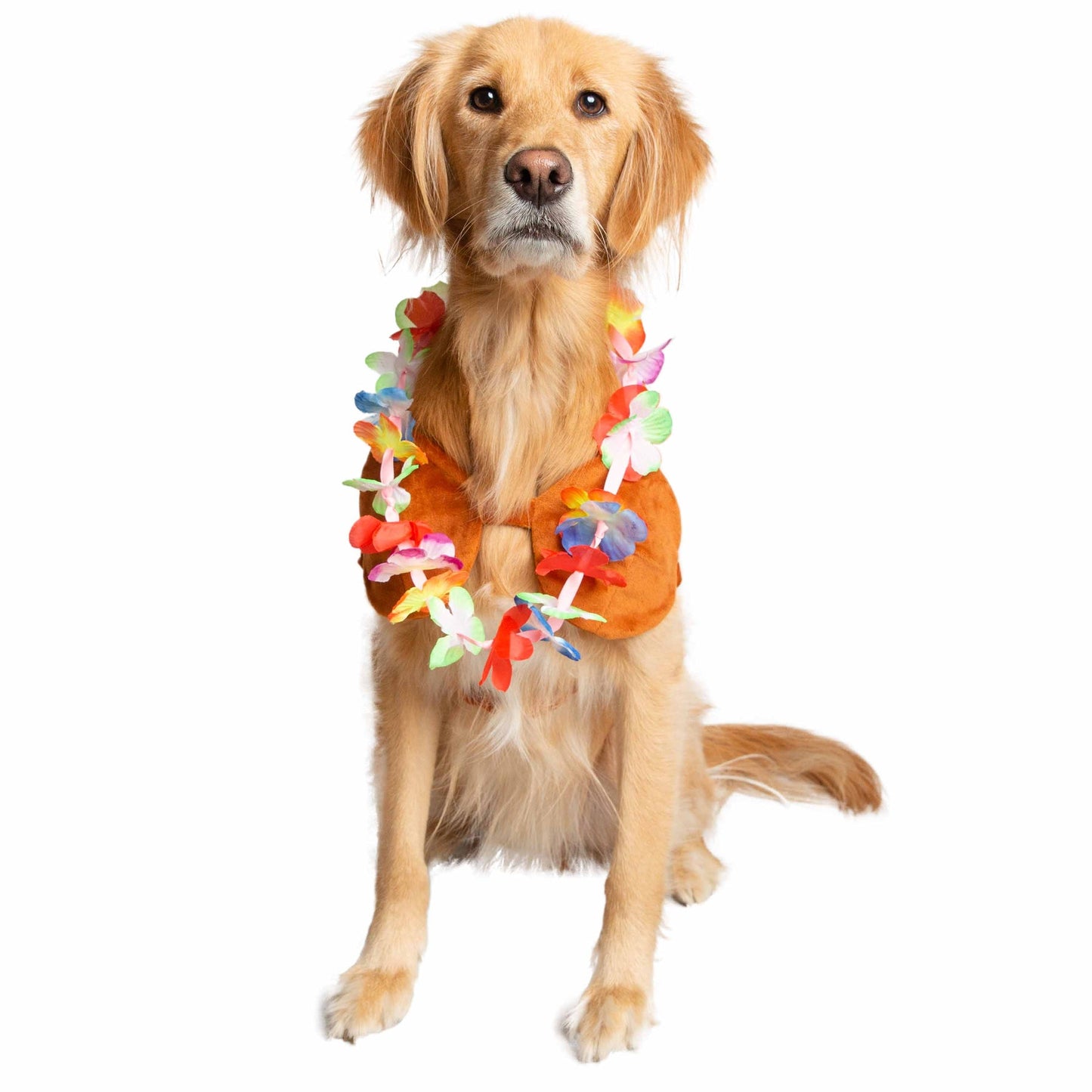 Hula Dog Pet Costume