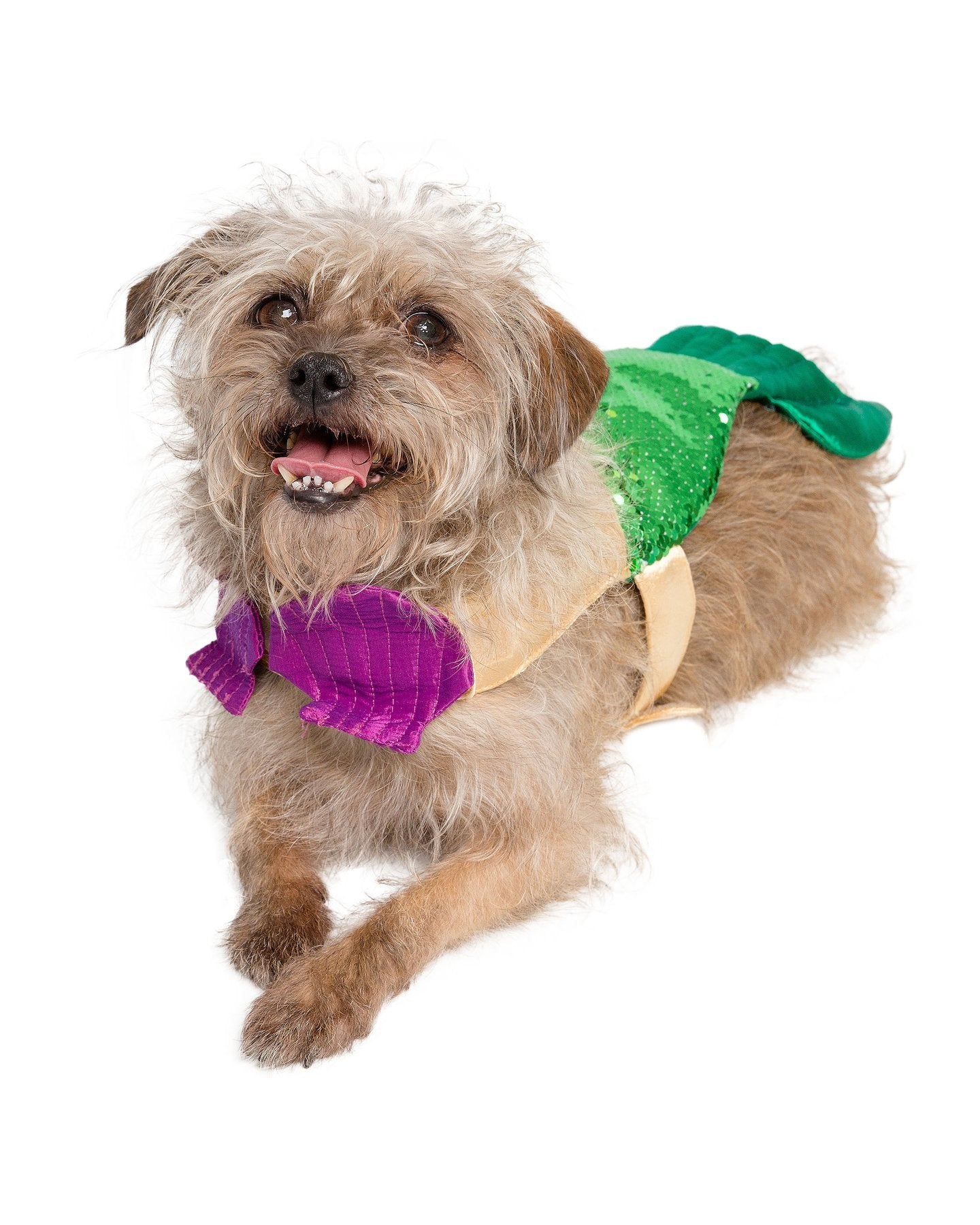 Mermaid Dog Costume w/ Reversible Sequined Tail