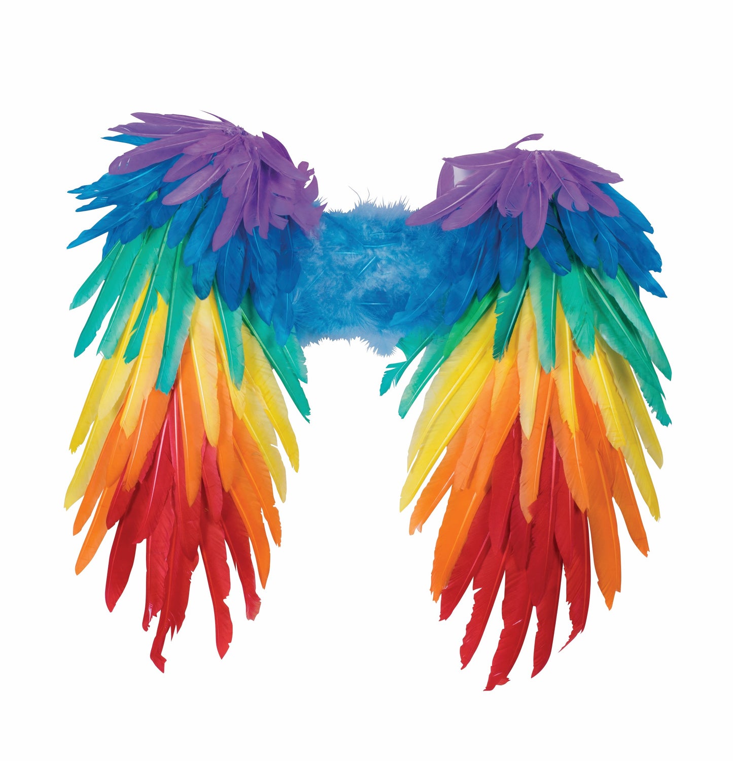 Rainbow Wings