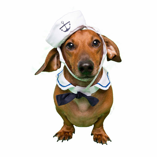 Sailor Dog Costume