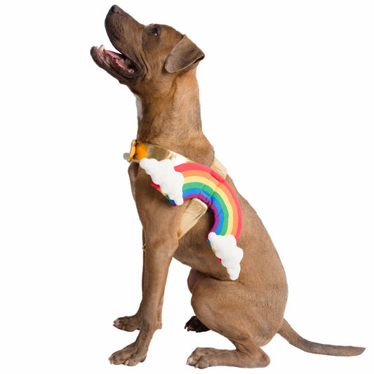 Rainbow Dog Pet Costume