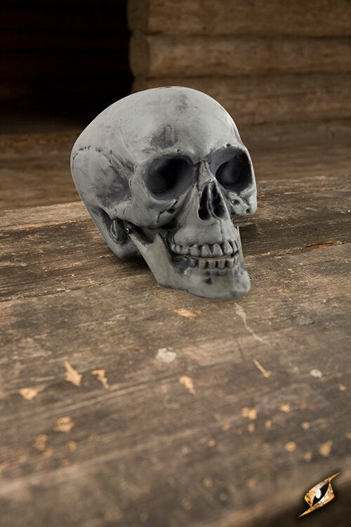 Human Skull