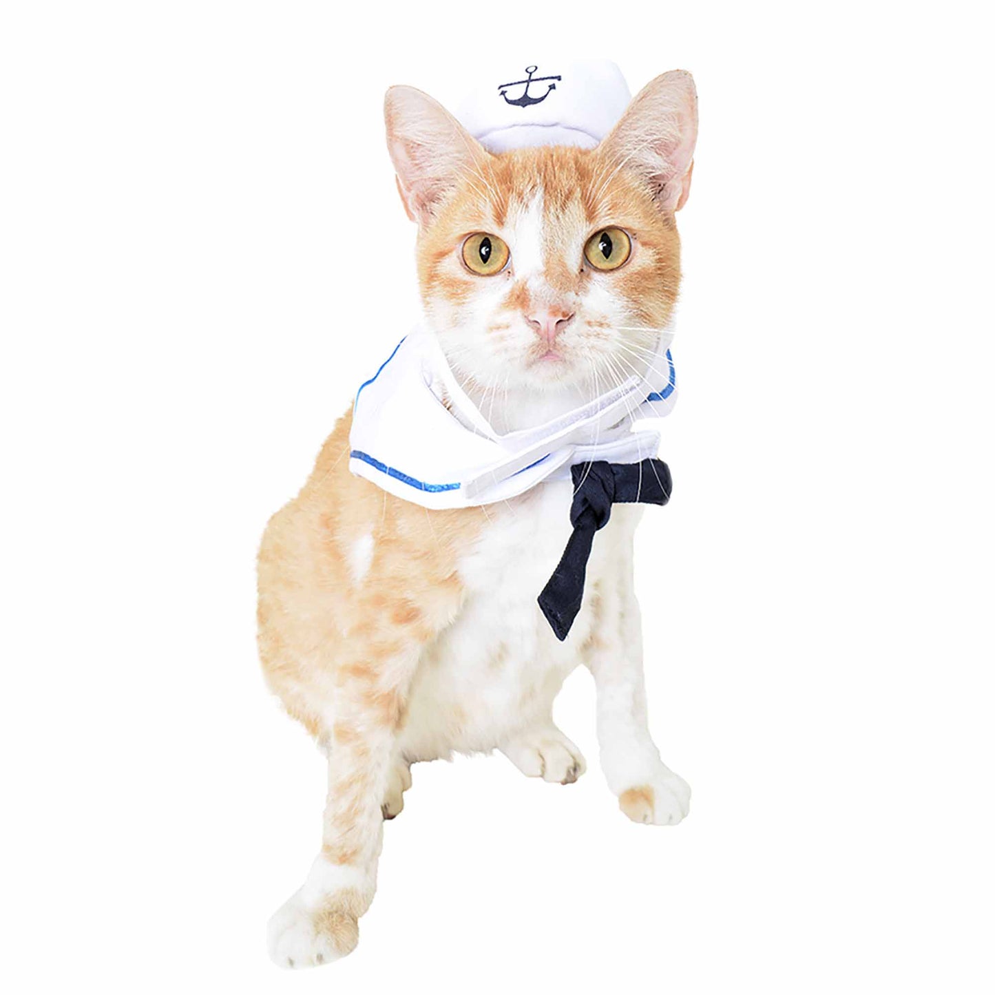 Sailor Dog Costume