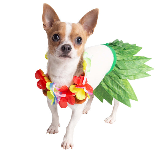 Hula Dog Pet Costume