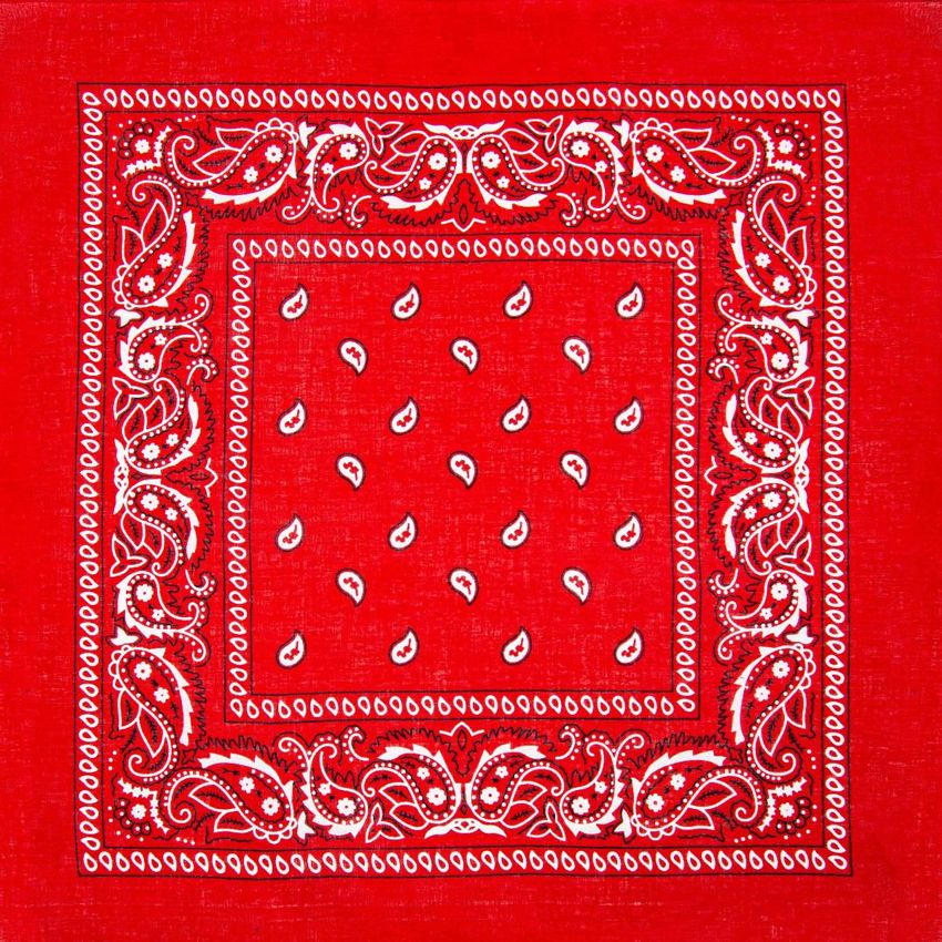 Paisley Cotton Bandana