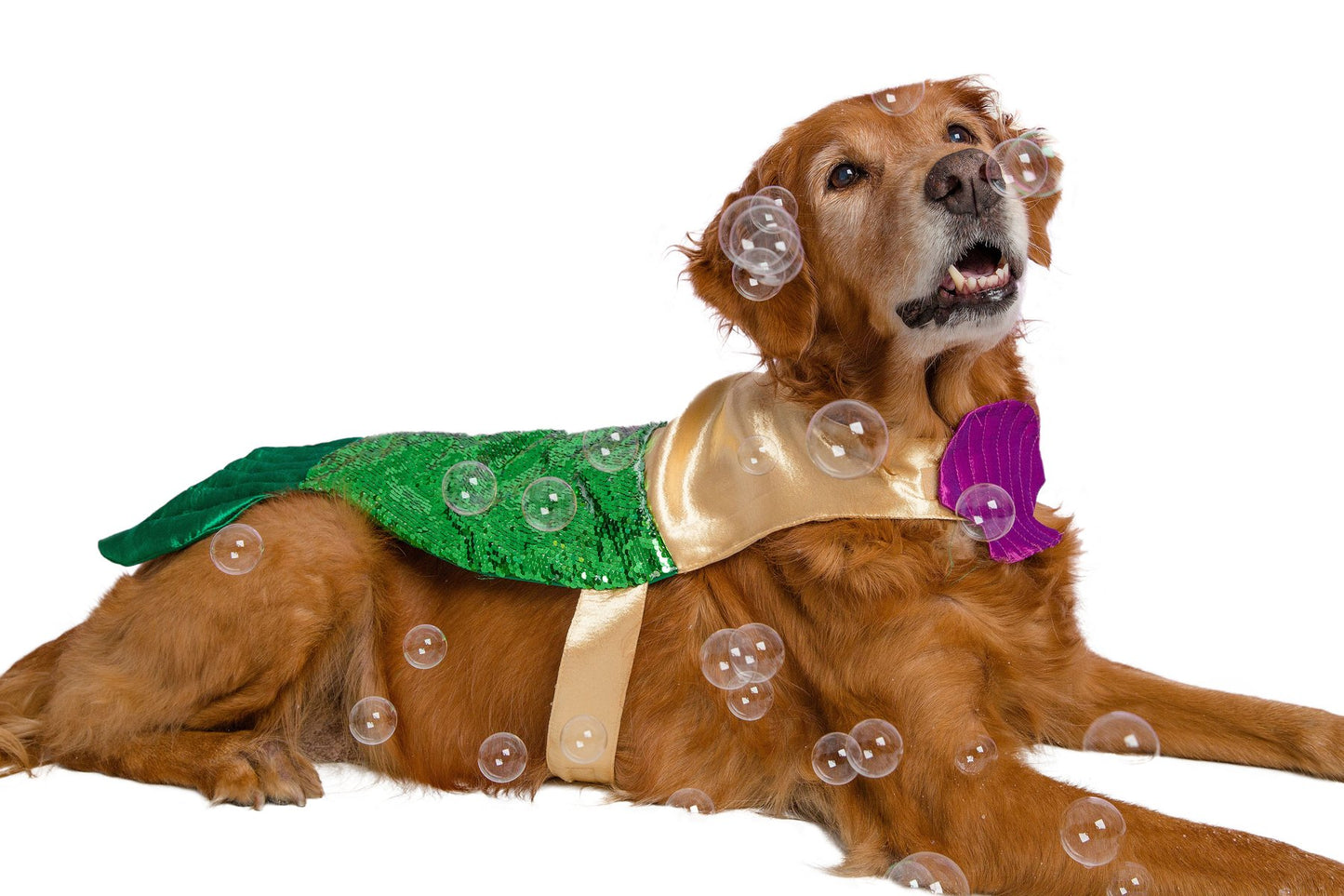 Mermaid Dog Costume w/ Reversible Sequined Tail