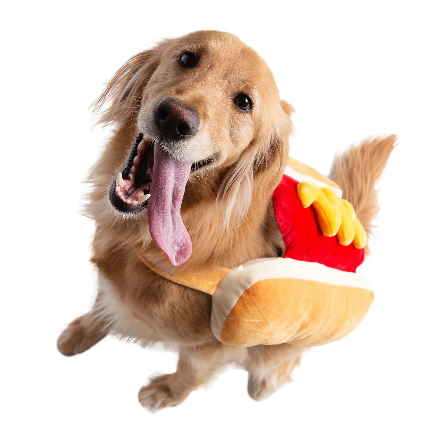 Pet Hot Dog Costume